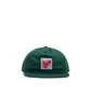 Carhartt WIP Stretch Cap (Grün)
