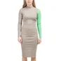 Stüssy WMNS Pike Color Block Dress (Taupe / Grün)