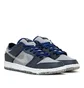 Nike SB Dunk Low Pro E (Grau / Schwarz)