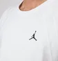 Nike Air Jordan Sportswear Wings Lite T-Shirt (Weiß)