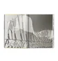 Taschen Strandbeest The Dream Machines of Theo Jansen