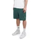 Carhartt WIP Bail Swim Short (Grün)
