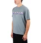 Dancer Love Beast Tee (Grau)
