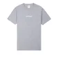 Aimé Leon Dore Logo Tee (Grau)