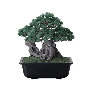 Neighborhood SRL X Bandai Spirits. Bonsai Model Kit