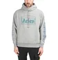 Aries Temple Hoodie (Grau)