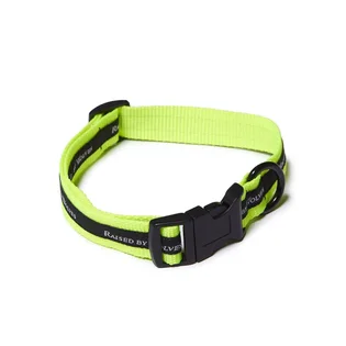 Raised by Wolves Dog Collar (Neongelb)