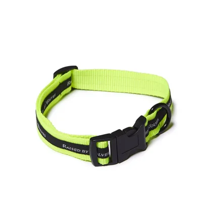 Raised by Wolves Dog Collar (Neongelb)