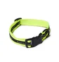 Raised by Wolves Dog Collar (Neongelb)