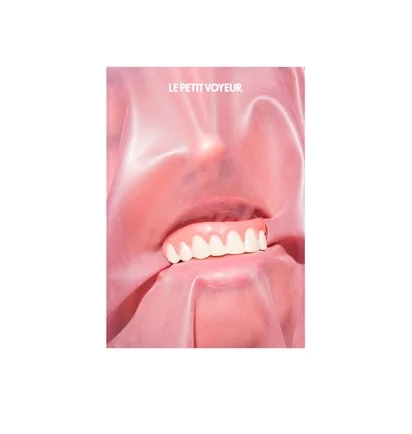 Le Petit Voyeur Vol 7 (Special Edition)