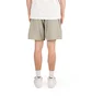 Pleasures Blessed Shorts (Grün)