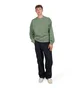 Carhartt WIP Nelson Sweat (Grün)