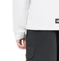 Helly Hansen Arc SS21 Ocean Crewneck (Hellgrau)