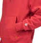 FR2 Please Stop Killing Yourself Hoodie (Rot)