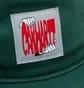 Carhartt WIP Stretch Cap (Grün)