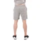 Aimé Leon Dore French Terry Camper Shorts (Grau)