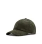 Carhartt WIP Harlem Cap (Grün)