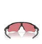 Oakley Radar EV Path (Schwarz / Multi)