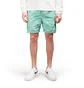Stone Island Shadow Project Shorts (Grün)