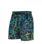 Nike ACG Shorts (Multi)