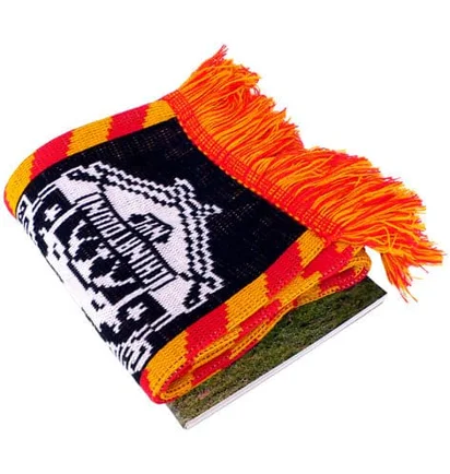 Arkitip Issue 0055 2010 World Cup