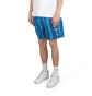 by Parra Aqua Weed Waves Swim Shorts (Blau / Petrol)