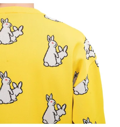 FR2 Rabbits Pattern Knit Top (Gelb)