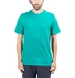 Aimé Leon Dore Logo T-Shirt (Grün)
