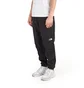 The North Face Denali Pant (Schwarz)