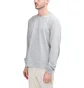 Stüssy Stock Longsleeve (Hellgrau)