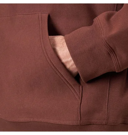 Carhartt WIP American Script Hoodie (Rot)