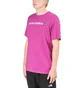 The North Face M SS Himalayan Summits Tee (Lila)