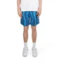 by Parra Aqua Weed Waves Swim Shorts (Blau / Petrol)